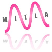 PT MITLA ITLaboratory INDONESIA logo - Similar company to Cv It Pro Solutions