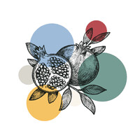 coachgarden.io logo - Similar company to Internatsschule Schloss Hansenberg