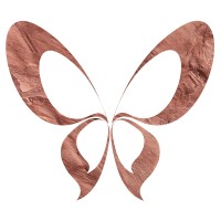 Evidence Ballet logo - Similar company to Devlean Manufatura
