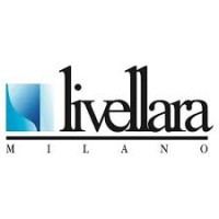 Livellara srl logo - Similar company to Soapup