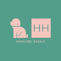 Handsome Harold logo - Similar company to Playtoon