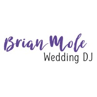 Brian Mole Wedding DJ