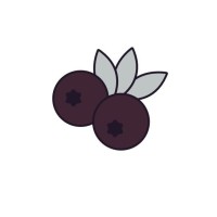 Mopberry LLC logo - Similar company to Salt & Light Global