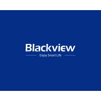 Blackview Moçambique logo - Similar company to Infogate Technologies
