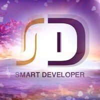 Smart Developer logo - Similar company to Wms - Idesigner