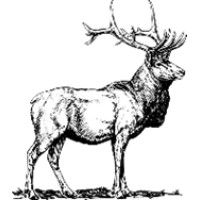 Clear Springs Capital LLC logo - Similar company to G1 Partners, Llc