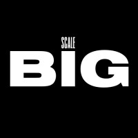ScaleBIG logo - Similar company to Scale Better