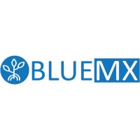 BlueMX logo - Similar company to Earthdefine