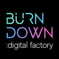 Burndown Studio logo - Similar company to Groupsocservice Srl