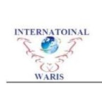 Waris International logo - Similar company to Waris International Consulting Ltd