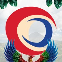 HENDOLAT logo - Similar company to Cc International Consulting