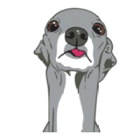 Tika the Iggy inc. logo - Similar company to Andrea Anders Inc.