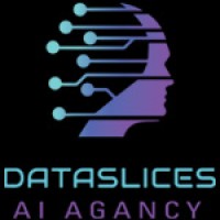 Dataslices Ai Agency logo - Similar company to Neuralconvert, Ai Automation Agency