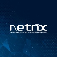Netrix logo - Similar company to 2Secure