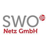 SWO Netz GmbH logo - Similar company to Elbesoft Iot