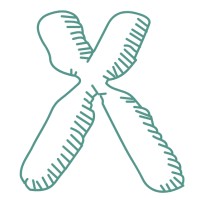 Xenovea Ltd. logo - Similar company to Protechtor