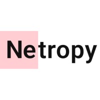 Netropy AI logo - Similar company to Joodra