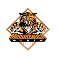 Mississauga North Baseball Association logo - Similar company to The Ontario Blue Jays