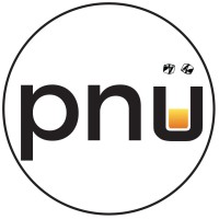 pnümix logo - Similar company to Hi There Solutions