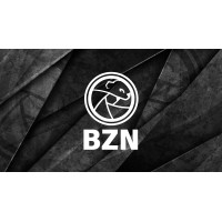 BZN logo - Similar company to Vizzee