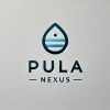 Pula Nexus logo - Similar company to Ditec Bw