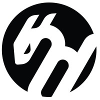 Black Dragons logo - Similar company to Game Code