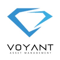 Voyant Asset Management logo - Similar company to Pricetime Markets Inc