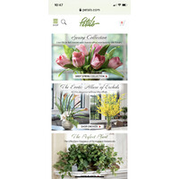 Petals.com logo - Similar company to Pro Click Ventures