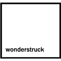 wonderstruck logo - Similar company to Wahu