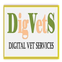 DigVetS logo - Similar company to Vietpay