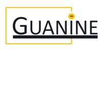 Guanine Inc - Electric oligonucleotide biosensor for rapid IVD signal amplification without PCR logo - Similar company to H2Yo Inc.