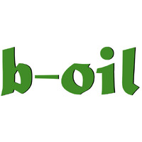 B-OIL BV logo - Similar company to Stop4Deroute