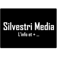 Silvestri Media S.A.R.L. logo - Similar company to Magicworks Sarl