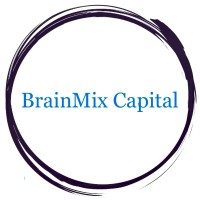 Brainmix Capital logo - Similar company to Visigon