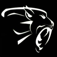 Pantherwood logo - Similar company to Play Wood