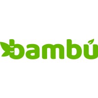 Conciencia Bambu