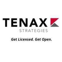Tenax Strategies logo - Similar company to Avs Technology