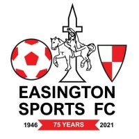 Easington Sports Football Club logo - Similar company to Schleifring Systems Limited