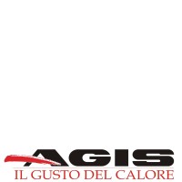 AGIS Srl logo - Similar company to B.F. Automation S.R.L.