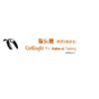 CatEagle Translation & Training logo - Similar company to Language Solutions, Malaysia