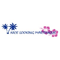 Nice Looking Martinique logo - Similar company to Ccs Dom