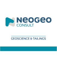 NEOGEO CONSULT logo - Similar company to Kamaytech