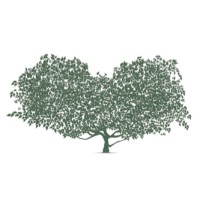 Agricola Garibaldi (Agroindustrial GyP SAC) logo - Similar company to Vecs