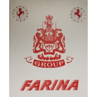 Farina Group logo - Similar company to Redd Ridge Consulting, Llc