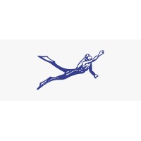 Neel Diving Academy logo - Similar company to Interdive Diving Services Private Limited