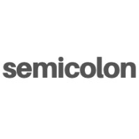 Semicolon Digital logo - Similar company to Euronet Alliance Ltd
