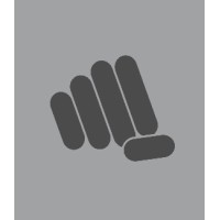 Thrust Custom Development Ltd logo - Similar company to Thrust Ai