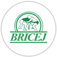 BRICEJ HOSTELERIA SL logo - Similar company to Horinsa