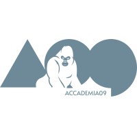Accademia09 logo - Similar company to Multi Import Srl
