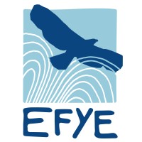 EFYE - Eagle's Fountain Youth Empowerment logo - Similar company to Interpretive Simulations